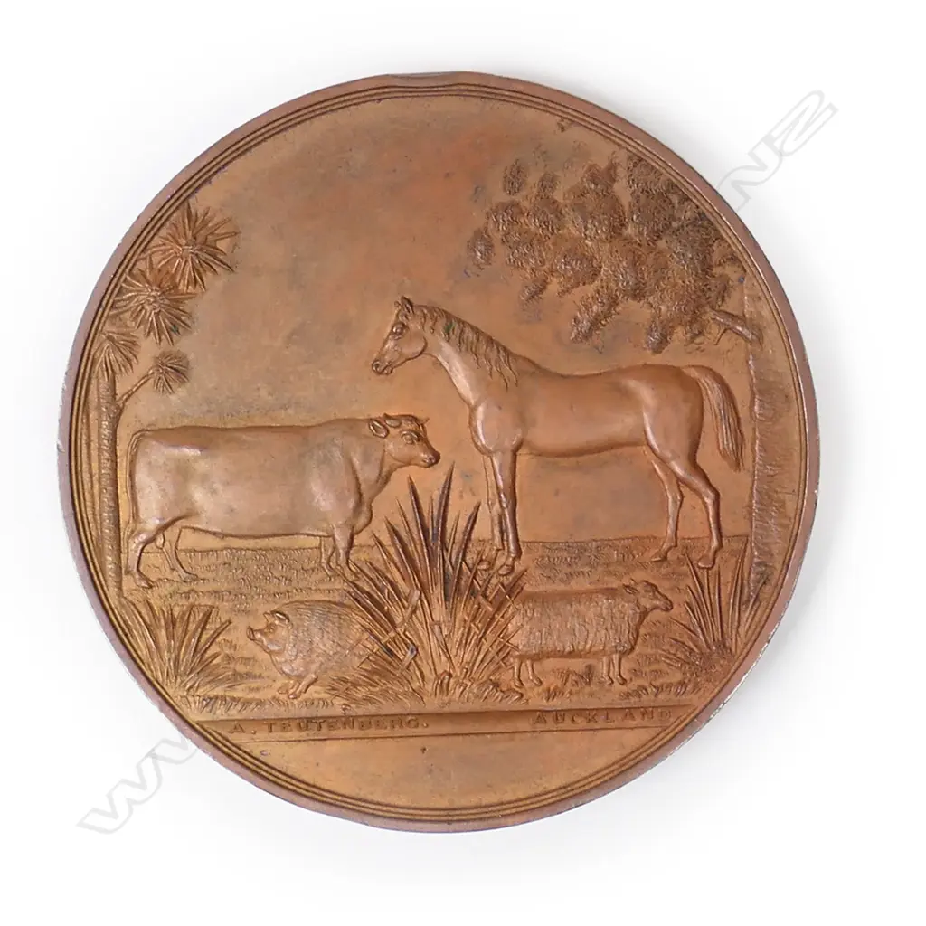 Anton Teutenberg Waikato A & P bronze medal 1876, Image 1++